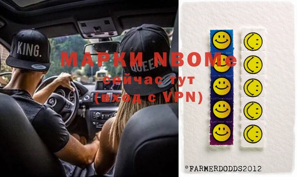 хмурый Богородицк