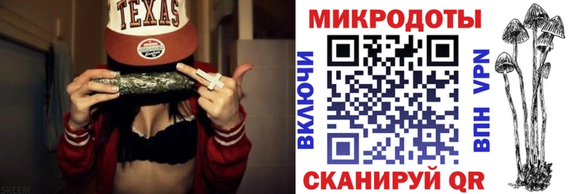 хочу наркоту Воркута Галлюциногенные грибы Psilocybine cubensis
